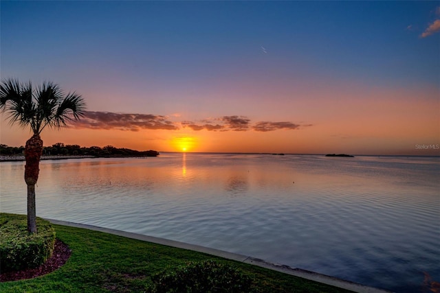 508 Driftwood Cir, Palm Harbor, FL 34683 - photo 5