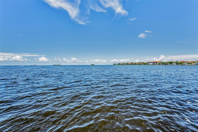 508 Driftwood Cir, Palm Harbor, FL 34683 - photo 10