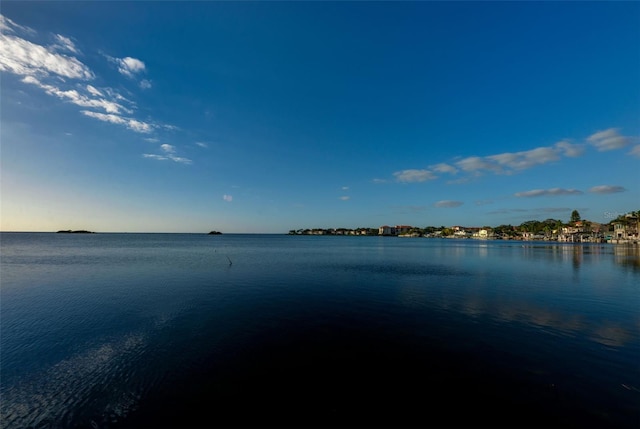 508 Driftwood Cir, Palm Harbor, FL 34683 - photo 12