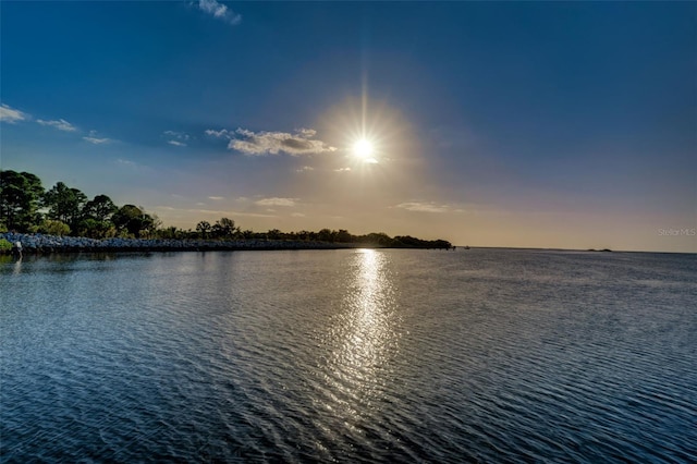 508 Driftwood Cir, Palm Harbor, FL 34683 - photo 14
