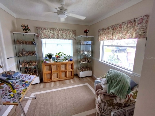 15817 Redington Dr, Redington Beach, FL 33708 - photo 8