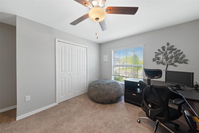 5362 Blue Horizon Way, Wimauma, FL 33598 - photo 28