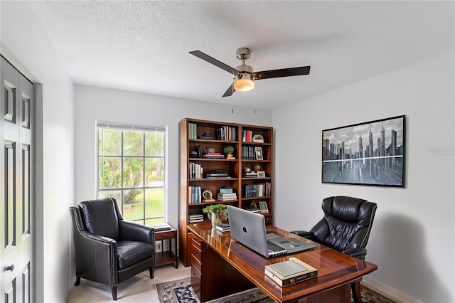8233 Clermont St, Tampa, FL 33637 - photo 20
