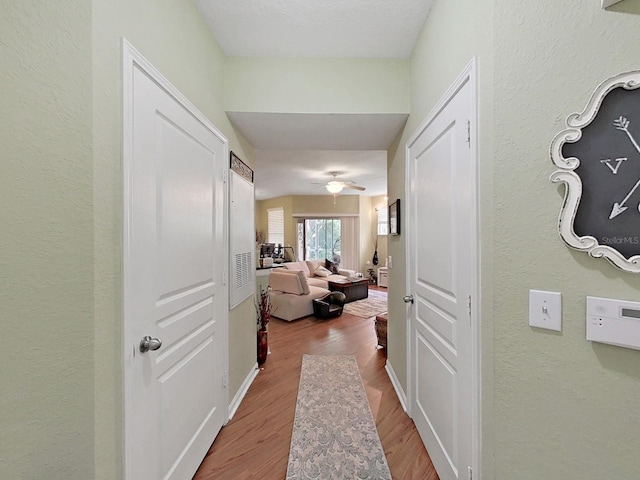 5125 Palm Springs Blvd Unit 11104, Tampa, FL 33647 - photo 5
