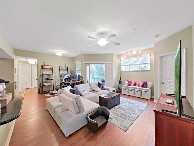 5125 Palm Springs Blvd Unit 11104, Tampa, FL 33647 - photo 15