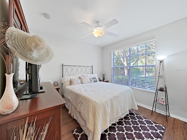 5125 Palm Springs Blvd Unit 11104, Tampa, FL 33647 - photo 18