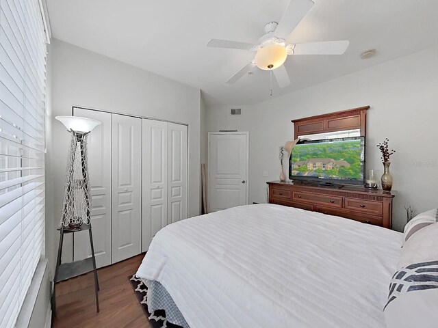 5125 Palm Springs Blvd Unit 11104, Tampa, FL 33647 - photo 20