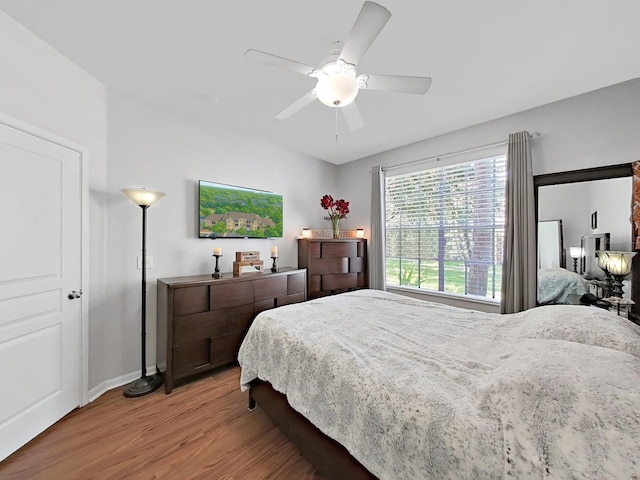 5125 Palm Springs Blvd Unit 11104, Tampa, FL 33647 - photo 23