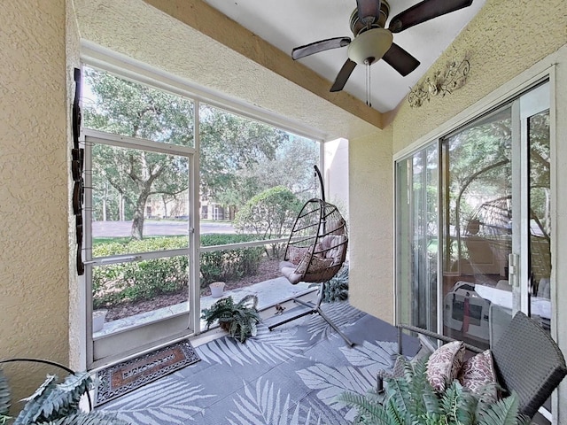 5125 Palm Springs Blvd Unit 11104, Tampa, FL 33647 - photo 34
