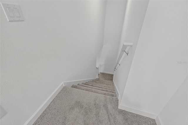 17334 Holly Well Ave, Wimauma, FL 33598 - photo 47