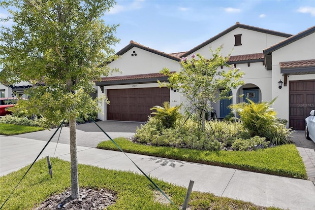 17334 Holly Well Ave, Wimauma, FL 33598 - photo 64