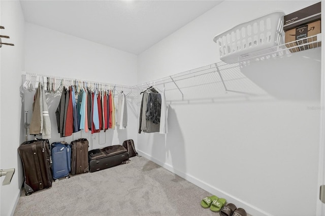 17334 Holly Well Ave, Wimauma, FL 33598 - photo 33