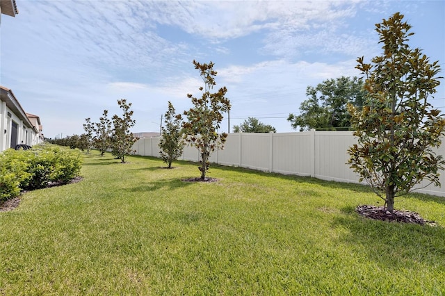 17334 Holly Well Ave, Wimauma, FL 33598 - photo 40