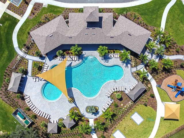 33678 Jasper Stone Dr, Wesley Chapel, FL 33543 - community pool featuring a patio