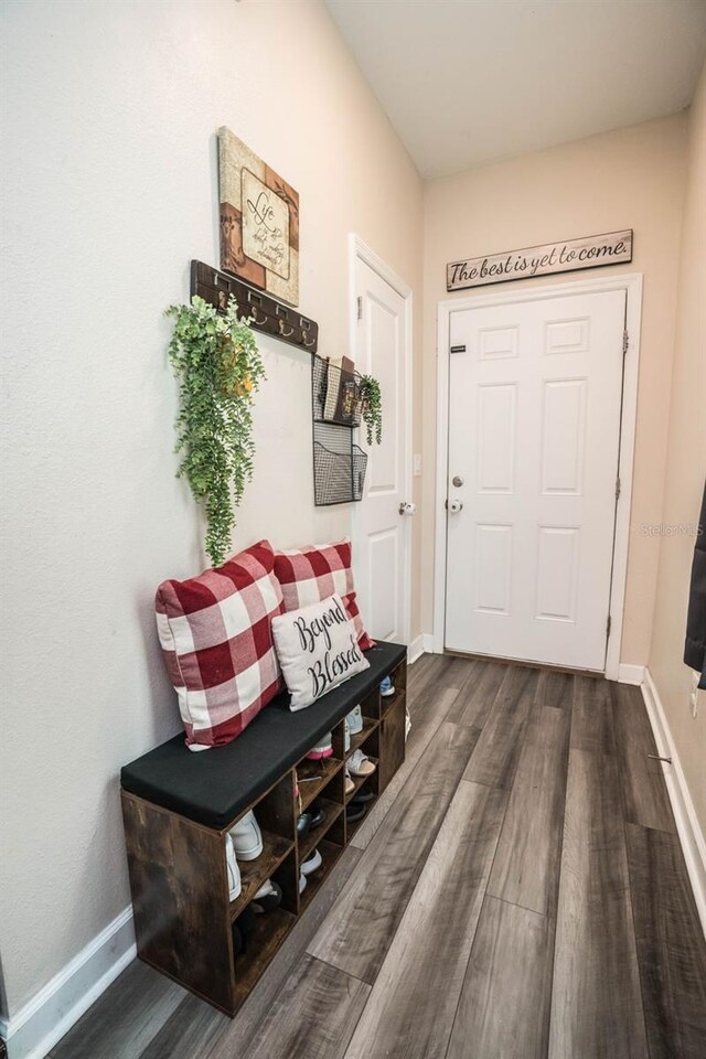 35210 Daisy Meadow Loop, Zephyrhills, FL 33541 - mudroom with dark wood-style floors and baseboards