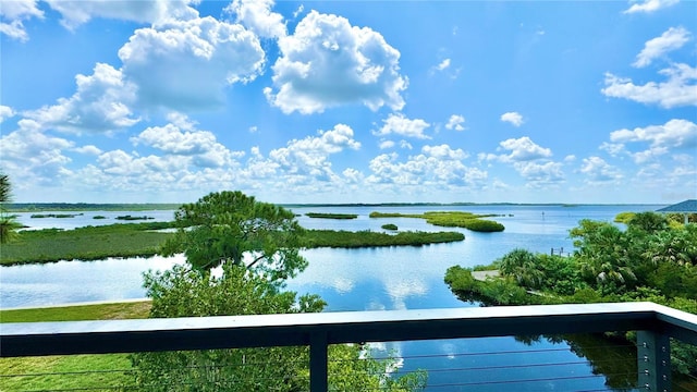 10701 Pine Island Dr, Weeki Wachee, FL 34607 - photo 3