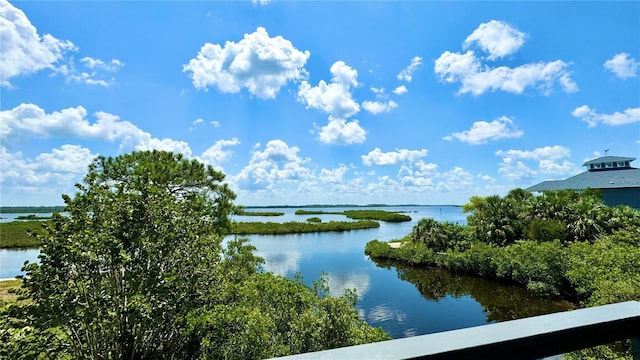 10701 Pine Island Dr, Weeki Wachee, FL 34607 - photo 7