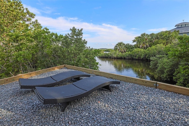 10701 Pine Island Dr, Weeki Wachee, FL 34607 - photo 29