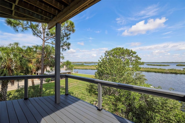10701 Pine Island Dr, Weeki Wachee, FL 34607 - photo 74