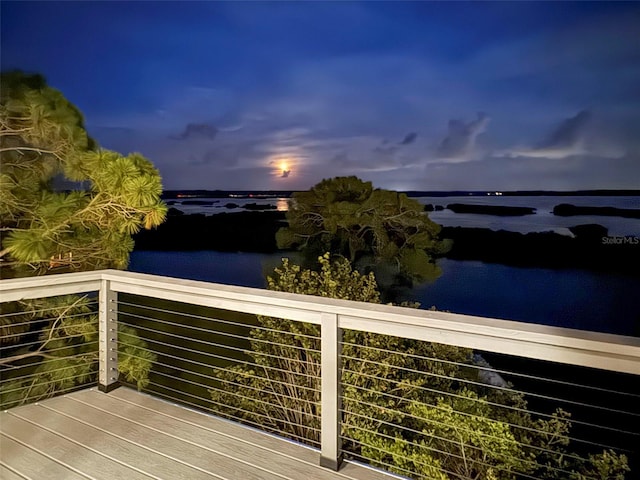 10701 Pine Island Dr, Weeki Wachee, FL 34607 - photo 77