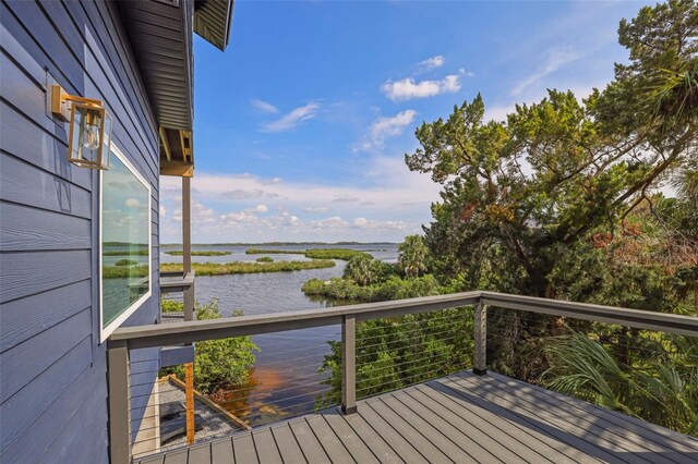 10701 Pine Island Dr, Weeki Wachee, FL 34607 - photo 78