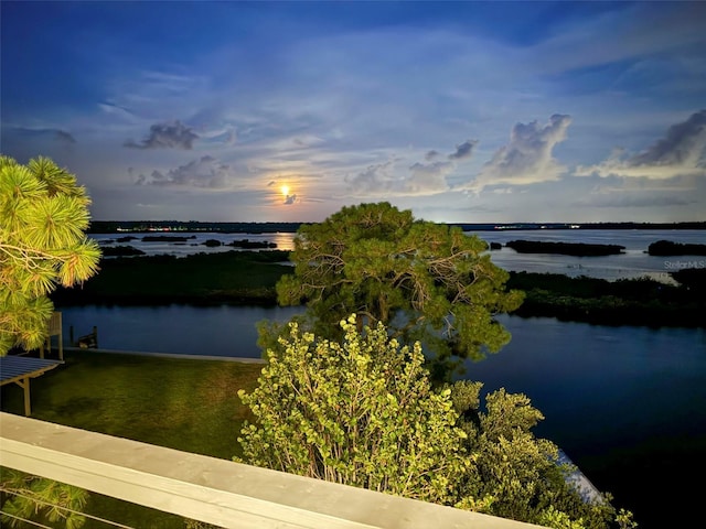 10701 Pine Island Dr, Weeki Wachee, FL 34607 - photo 85