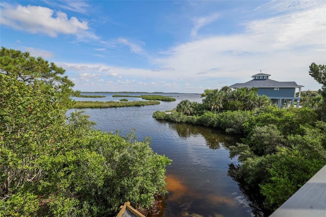 10701 Pine Island Dr, Weeki Wachee, FL 34607 - photo 86