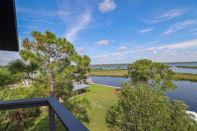 10701 Pine Island Dr, Weeki Wachee, FL 34607 - photo 87