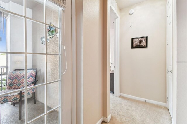 7903 Seminole Blvd Unit 2203, Seminole, FL 33772 - photo 23