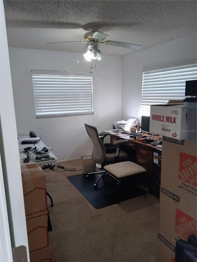 7307 Windsor Mill Rd, Hudson, FL 34667 - carpeted home office with a ceiling fan, a textured ceiling, and plenty of natural light