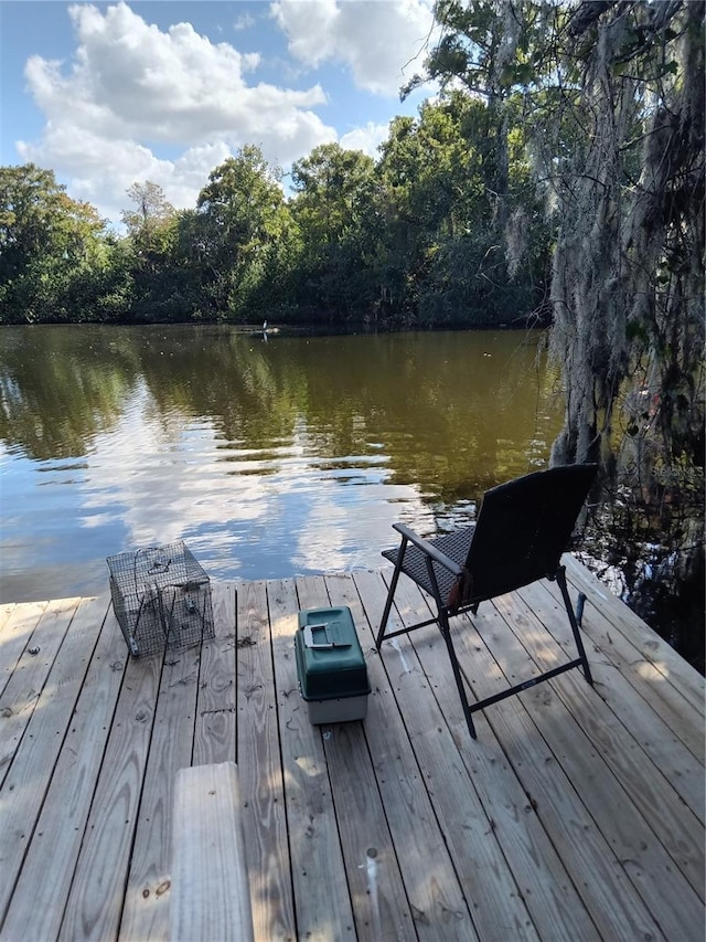 7307 Windsor Mill Rd, Hudson, FL 34667 - dock area featuring a water view