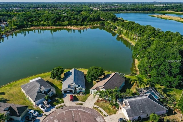 1725 Bondurant Way, Brandon, FL 33511 - aerial view of a large body of water and a forest
