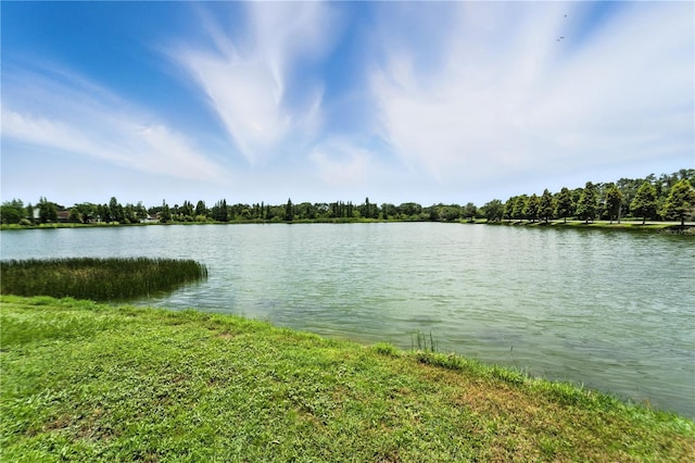 1725 Bondurant Way, Brandon, FL 33511 - water view