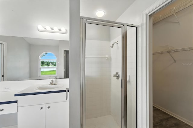 1725 Bondurant Way, Brandon, FL 33511 - full bath with vanity, a spacious closet, and a stall shower