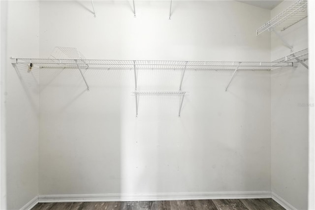 1725 Bondurant Way, Brandon, FL 33511 - spacious closet with dark wood-style flooring