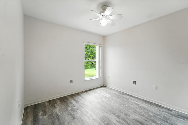 1725 Bondurant Way, Brandon, FL 33511 - empty room featuring wood finished floors and a ceiling fan