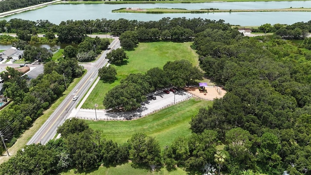 1725 Bondurant Way, Brandon, FL 33511 - bird's eye view of a nearby body of water