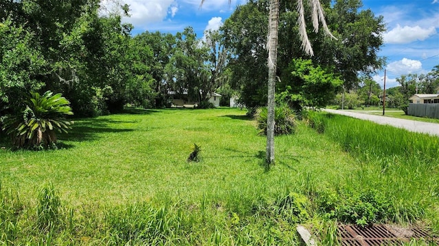 4th Ave, San Antonio, FL 33576 - photo 1