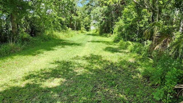 4th Ave, San Antonio, FL 33576 - photo 2