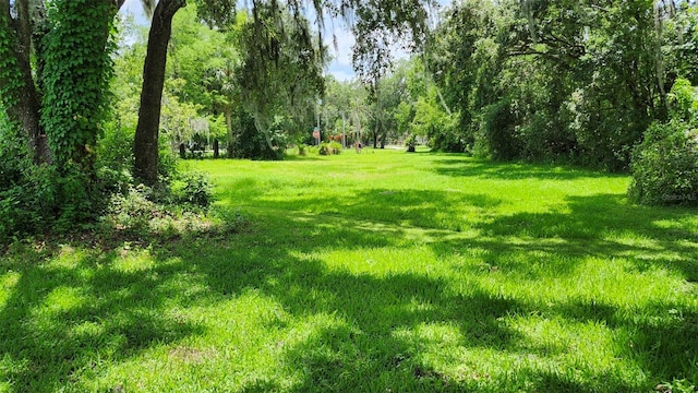 4th Ave, San Antonio, FL 33576 - photo 3