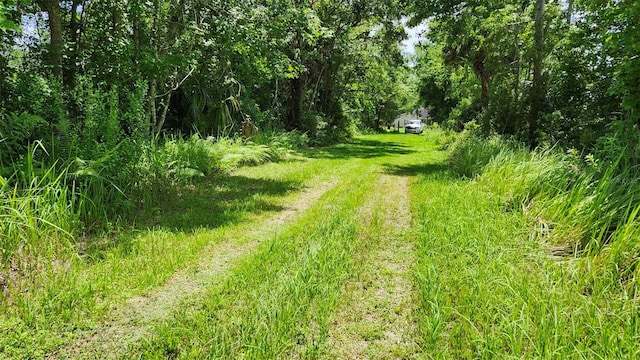 4th Ave, San Antonio, FL 33576 - photo 4