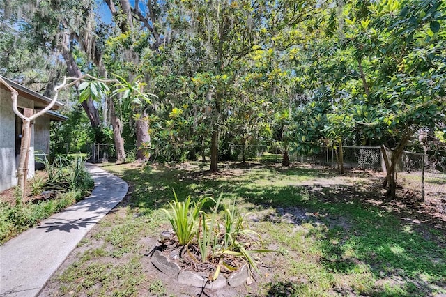 3102 E Trapnell Rd, Plant City, FL 33566 - photo 15