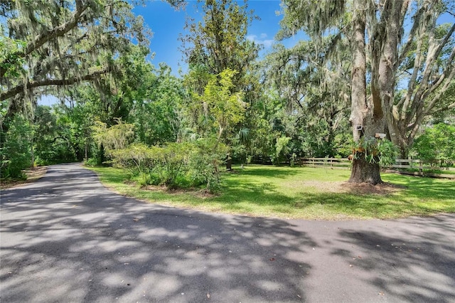 3102 E Trapnell Rd, Plant City, FL 33566 - photo 34