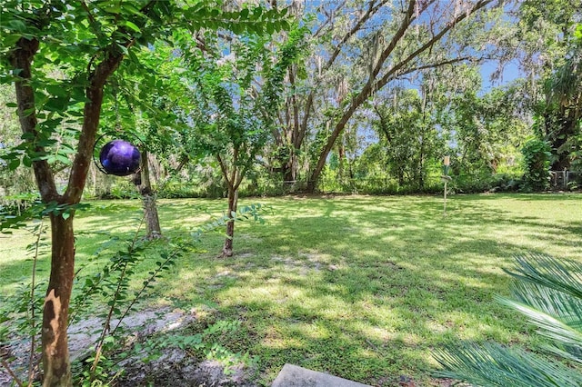 3102 E Trapnell Rd, Plant City, FL 33566 - photo 35