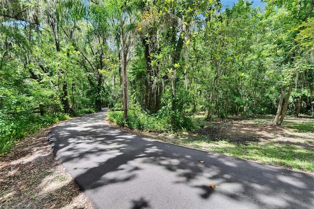 3102 E Trapnell Rd, Plant City, FL 33566 - photo 36