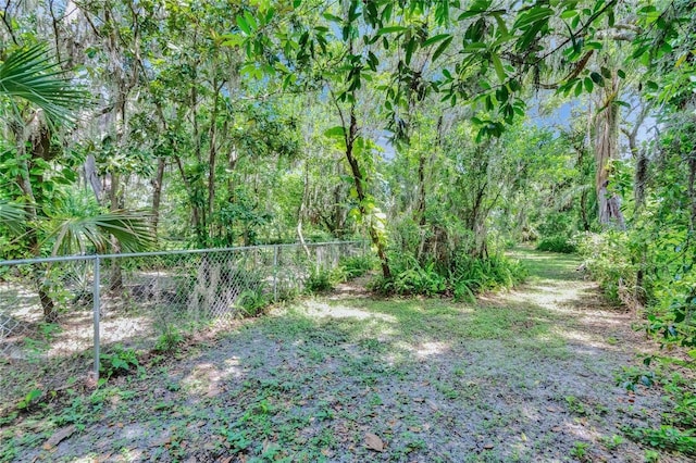 3102 E Trapnell Rd, Plant City, FL 33566 - photo 40