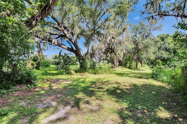 3102 E Trapnell Rd, Plant City, FL 33566 - photo 42