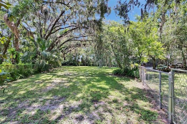 3102 E Trapnell Rd, Plant City, FL 33566 - photo 43