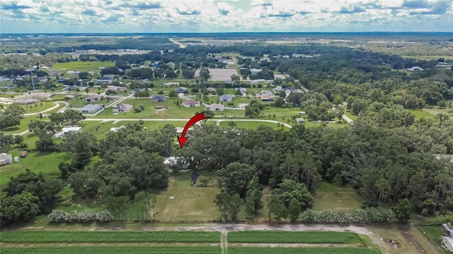 3102 E Trapnell Rd, Plant City, FL 33566 - photo 48