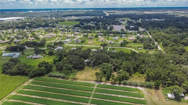 3102 E Trapnell Rd, Plant City, FL 33566 - photo 49